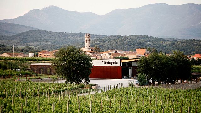 Cata y visita de vinos en La Vinyeta