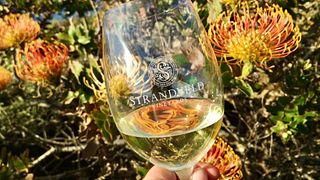 Cape South Coast Wine Escape at Strandveld