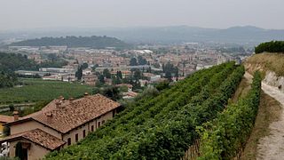 Boscaini Carlo Winery