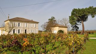 Degustazione di vini, spiegazioni e tutte le risposte possibili alle vostre domande!