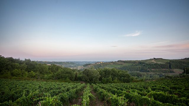 Tenuta Moriano: A Tuscan Gem