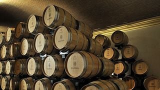 Almoço Gourmet Light | Tour de vinhos na Farina Wines