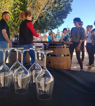 Murcia Wine & Olive Tour at Bodegas Castaño