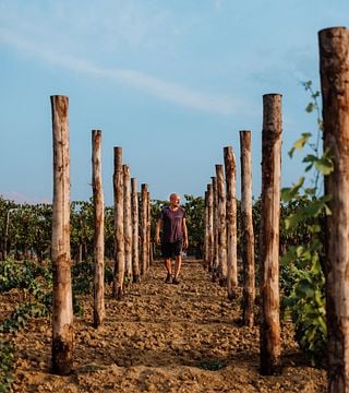 Umbria Vineyard Tour & Wine Tasting Experience