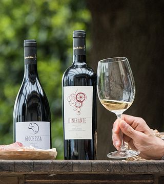 Walk a Tuscan Vineyard & Taste Bolgheri Wines