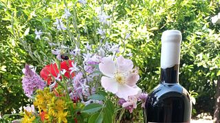 Maxi Wine Tour på Azienda San Quirico