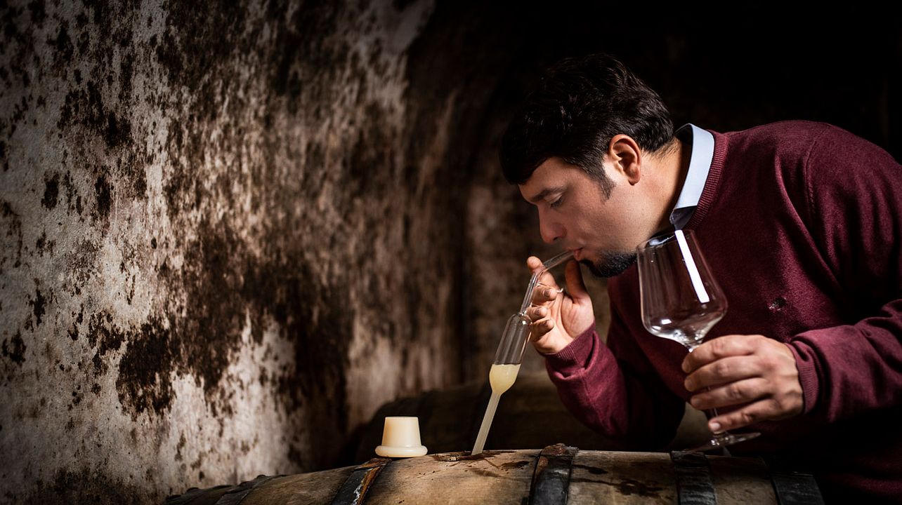 Degustazione di vini presso la cantina Barcza