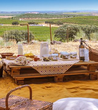 Alentejo Vineyards & Vistas at Herdade Grande