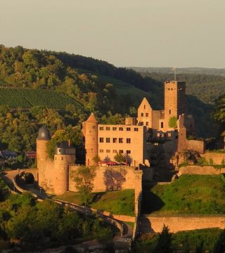 Dégustation de vins et visite au Weingut Alte Grafschaft