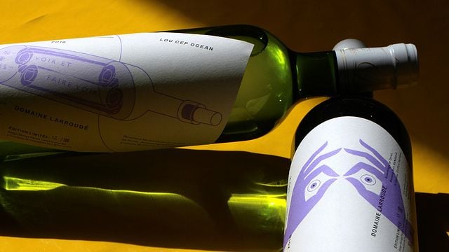 Cata de vinos y visita al Domaine Larroudé