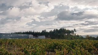 Quinta da Giesta