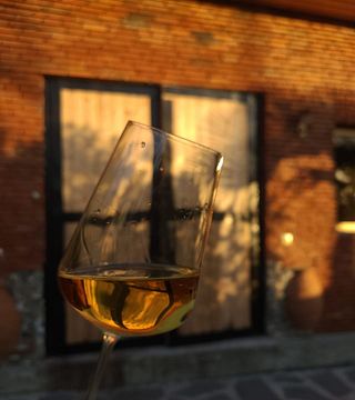 Degustação autêntica de vinhos em qvevri
