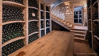 Wine Tasting and Tour at Terre di San Vito