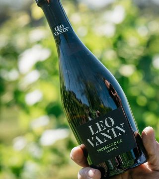 Weinprobe und Tour bei Leo Vanin