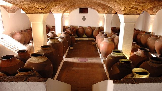 Prova de Vinhos Guiada e Tour na Adega José De Sousa