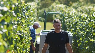 Degustazione di vini e visita presso Eppelmann