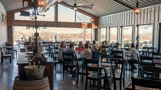 Cata de vinos en el viñedo y bodega Majek