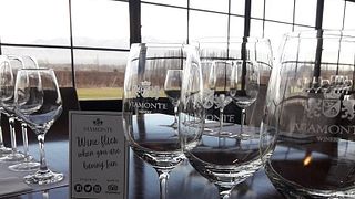 Weinprobe und Führung im Weingut Viamonte