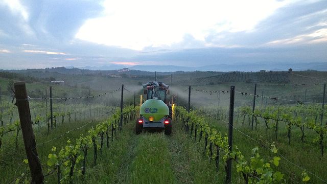 Podere Volpaio: Organic Wines in Tuscany