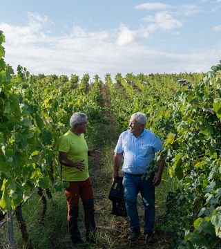 Villa Melnik Winery