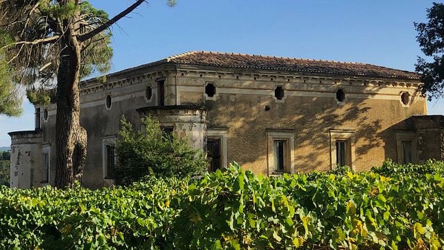 Tenute Pacelli Winery