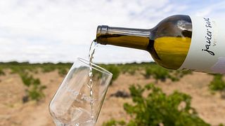 Visitez Javier Sanz Viticultor