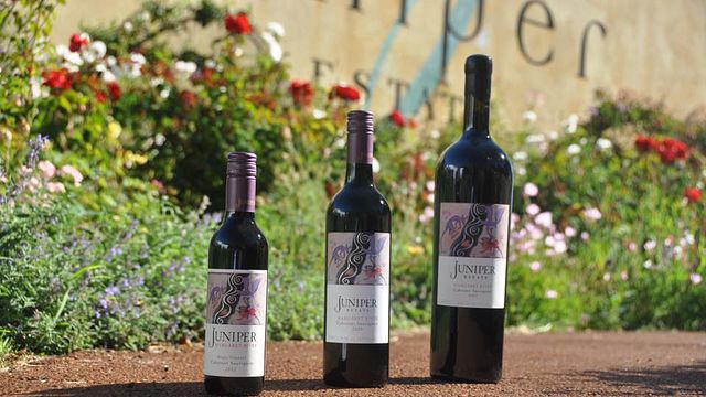 Dégustation de vin chez Juniper
