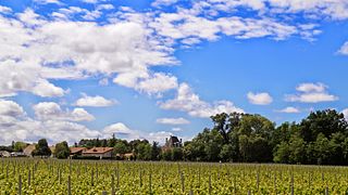 Château Saint Ahon