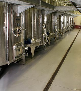 Weinprobe und Führung in der Cantina Ricchi