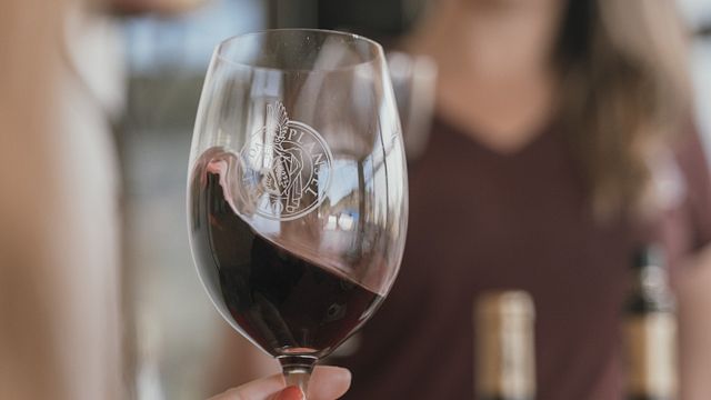 Winery Tour & Monovarietal Tasting at Quinta da Plansel