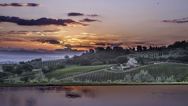 Icario Winery