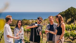 Avventura in barca a vela da Barcellona ai vigneti, tour della cantina e degustazione di vini
