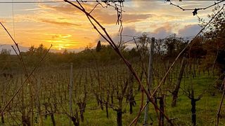 Degustação de vinhos em Salceta