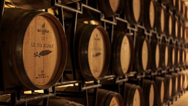 Bio-Wein- und Olivenölverkostung mit toskanischem Menü im Le Filigare