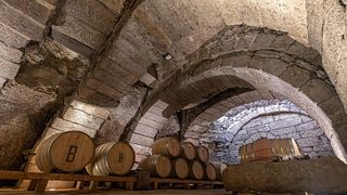 Bodegas y Viñedos Bruneo
