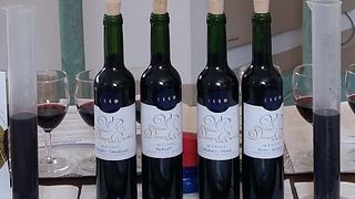 Degustação de vinhos e tour no Château Vieux Robin