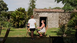 Cata clásica