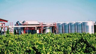 Degustazione di vini e visita alla cantina Peltier