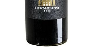 Cata de vinos y visita guiada en Parmoleto