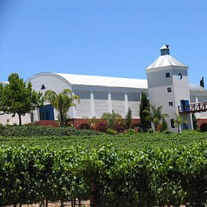 Zeit in einem Apartment bei Ladybird Vineyards verbringen 