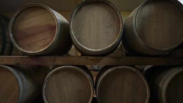 Weintour und Weinprobe mit dem Eigentümer bei Vasari 1628
