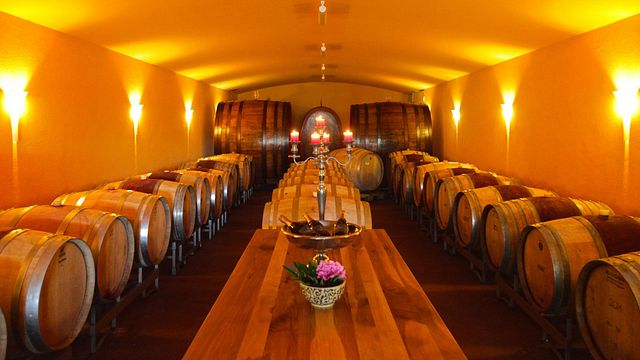 Degustazione di vini presso la cantina Häßermann