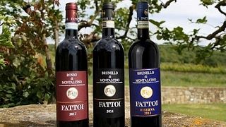 Tuscan Boutique Wine Tour & Tasting at Fattoi
