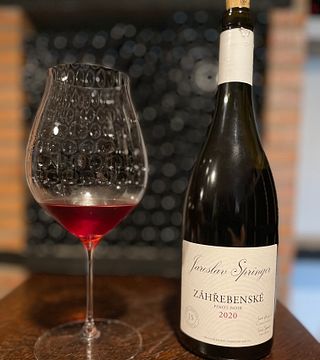 Degustação de vinhos na Vinícola Jaroslav Springer