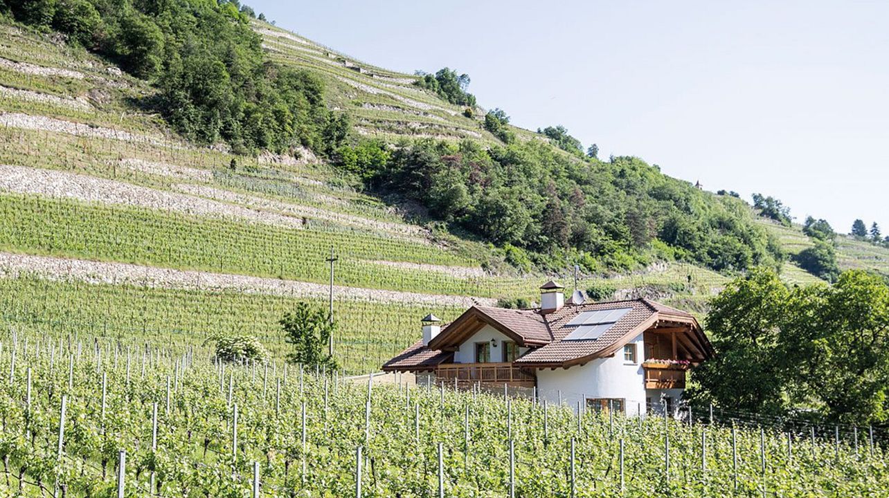 Taschlerhof: besök och provsmakning