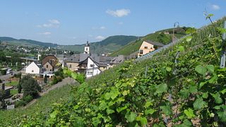 Premium-Weinprobe bei Stairs n‘ Roses