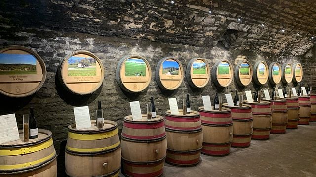 Terroir-Weinprobe im Domaine Henri de Villamont