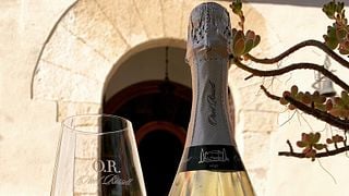Dégustation et visite de vins à Cava Oriol Rossell