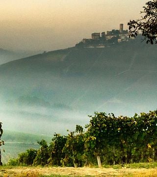 Piedmont Barolo Wine & Vineyard Adventure
