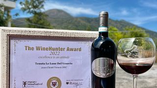 Dégustation de vins et déjeuner dans le vignoble du Vésuve à Tenuta Le Lune del Vesuvio